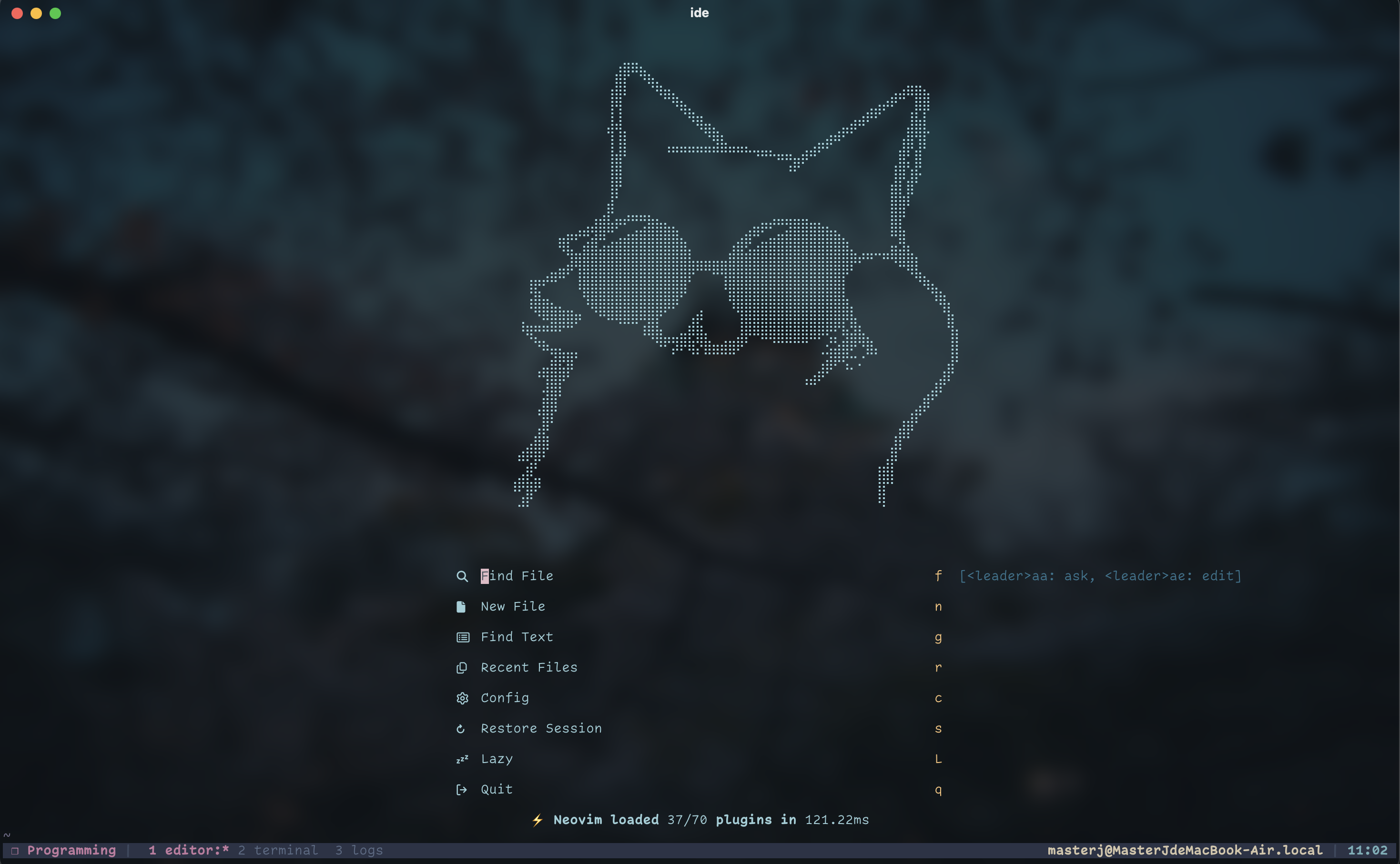Neovim Config Journey
